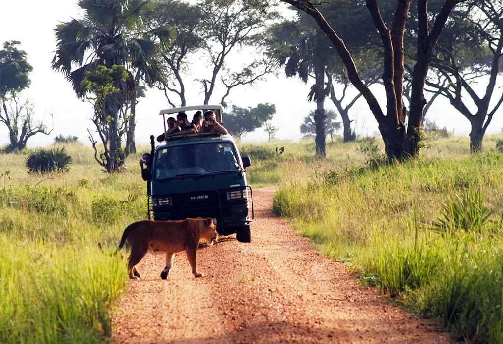 5-Day Murchison Falls Safari