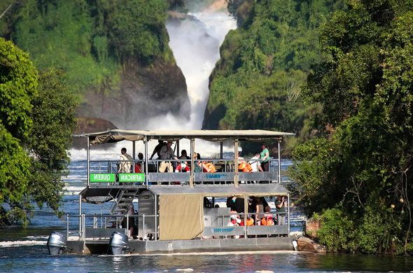 A breathtaking view of Murchison Falls, with the powerful waterfall cascading through a narrow gorge surrounded by lush greenery and rocky cliffs.