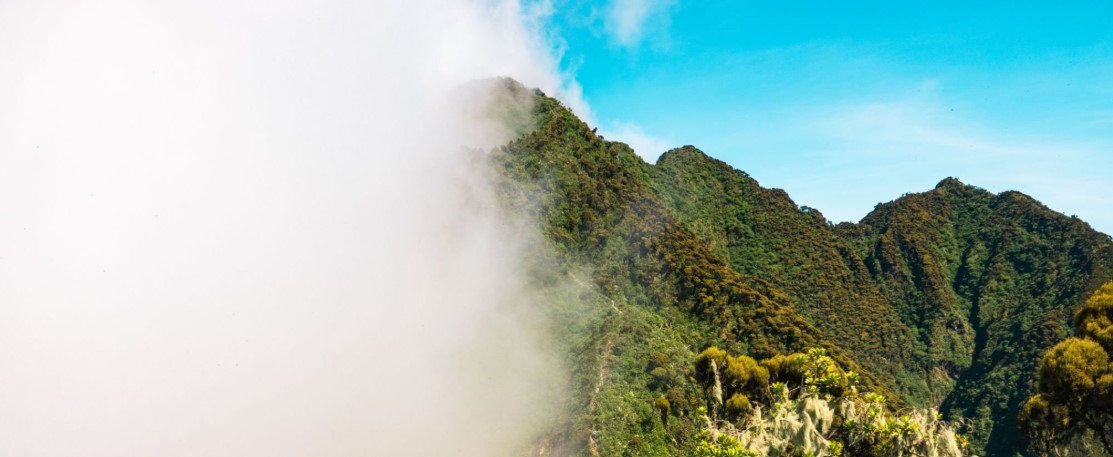 Sunrise over the misty slopes of Mgahinga's Virunga Mountains