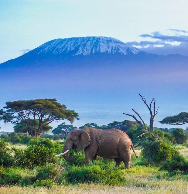 Best Time to Climb Mount Kilimanjaro for Success.
