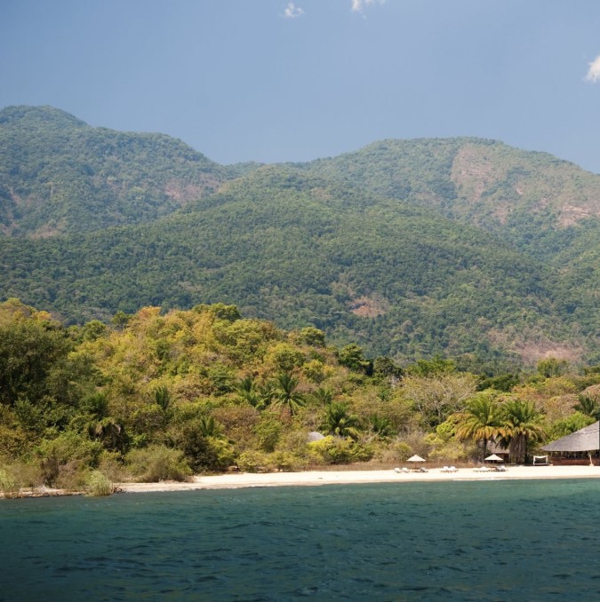 Scenic view of Mahale Mountains National Park with lush forests and Lake Tanganyika in the background.