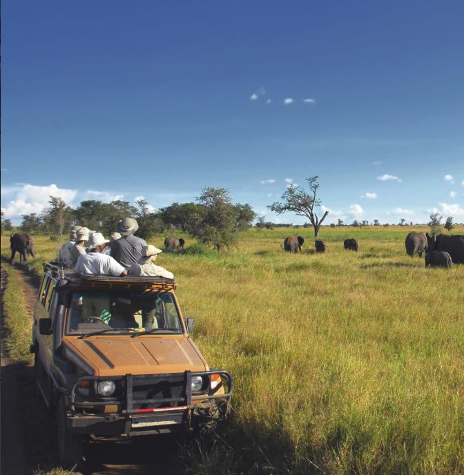 Budget safari in Tanzania with local experiences and wildlife adventures on $50 a day.