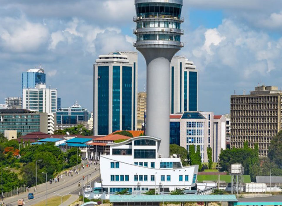 Why Is Tanzania the Ultimate Safari Destination?