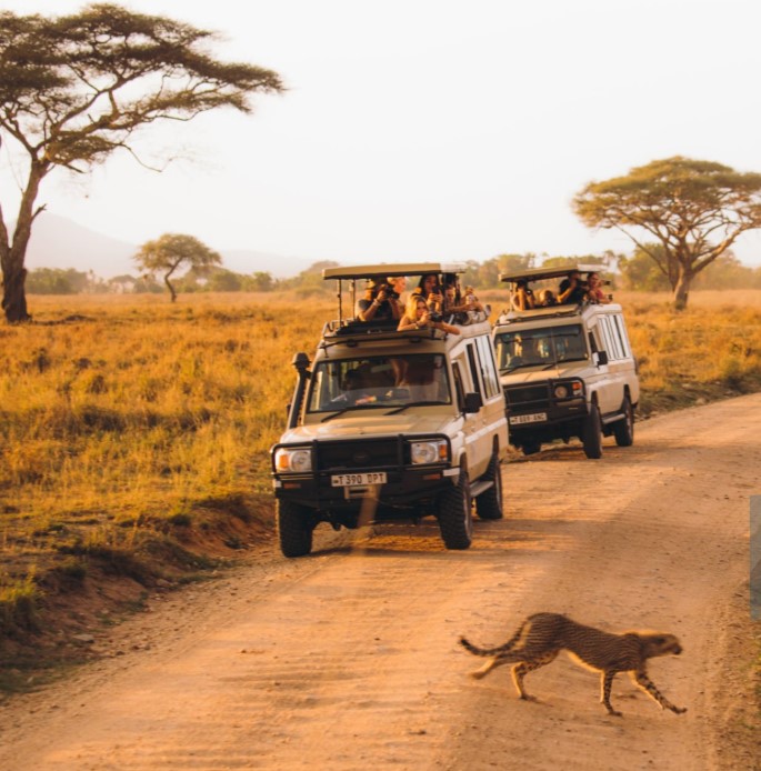 Scenic view of a safari landscape in Rainy Tanzania with vibrant greenery, dramatic clouds, and grazing wildlife.