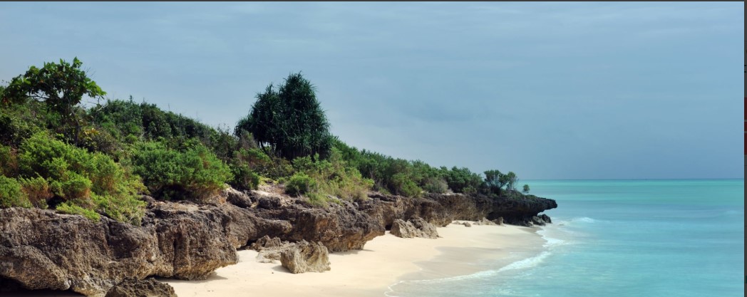 Stunning view of a pristine beach in Tanzania with clear turquoise waters and white sandy shores."