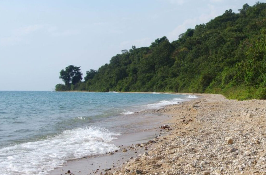 Where to Find Tanzania's Best Beaches?