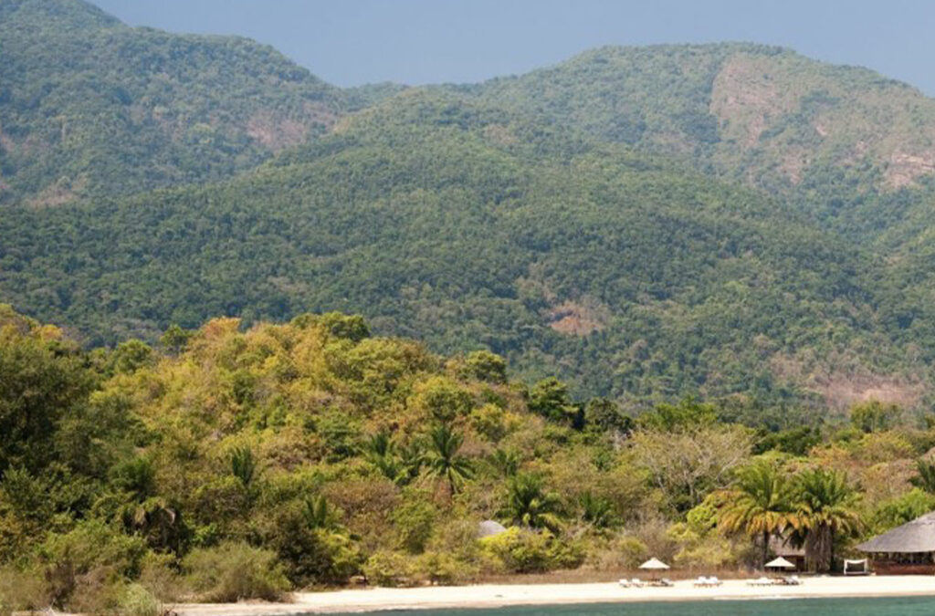 Why Visit Tanzania's Mahale Mountains?