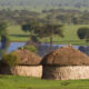 How to Experience Maasai Culture: A Journey into Timeless Tradition