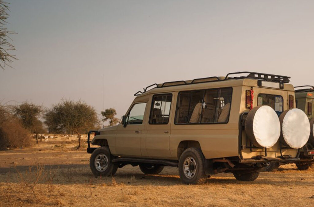 Does Tanzania Have Night Safaris?