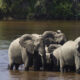 Why is Ruaha Park a Hidden Gem?