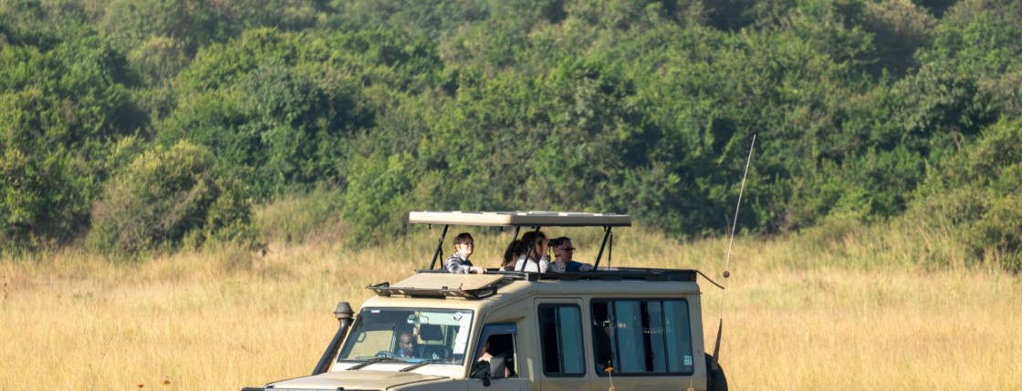 4x4 vehicle on a dirt road during a self-drive safari with elephants in the background under a golden sunset.