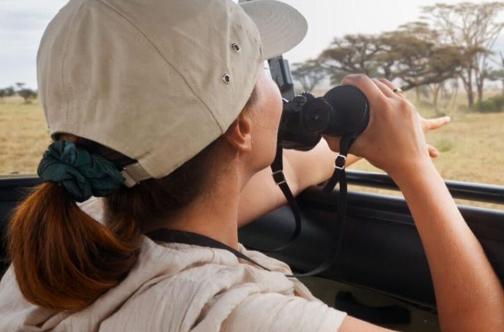 Can You Do a Self Drive Safari?