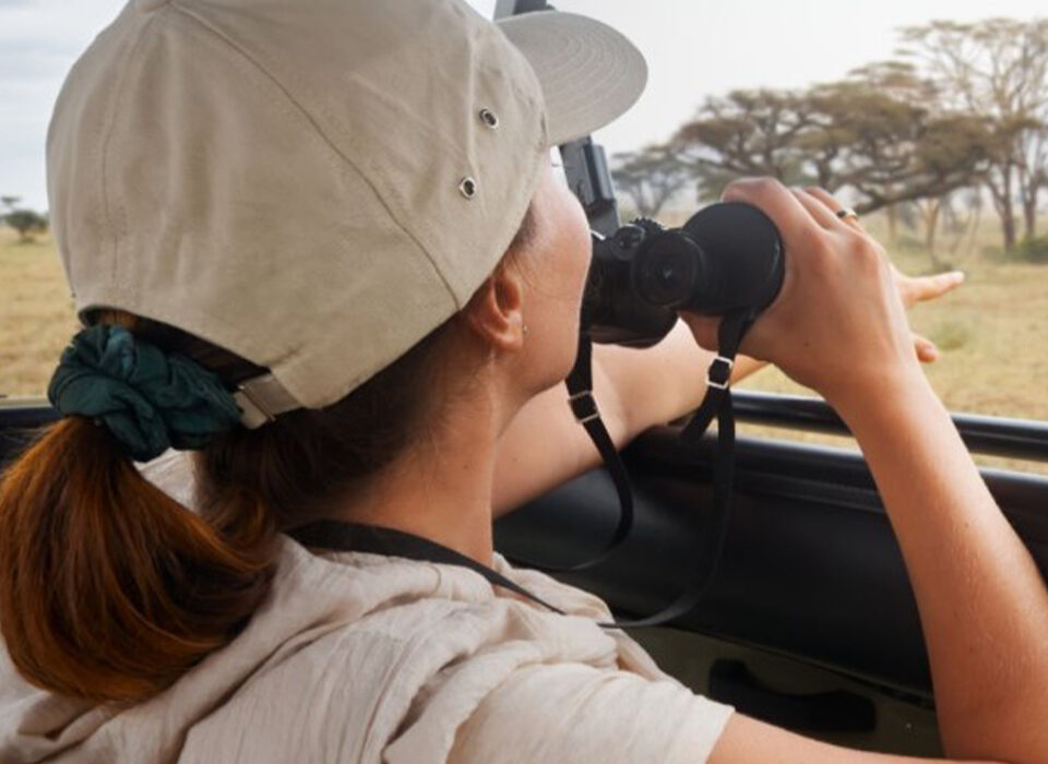 Can You Do a Self Drive Safari?