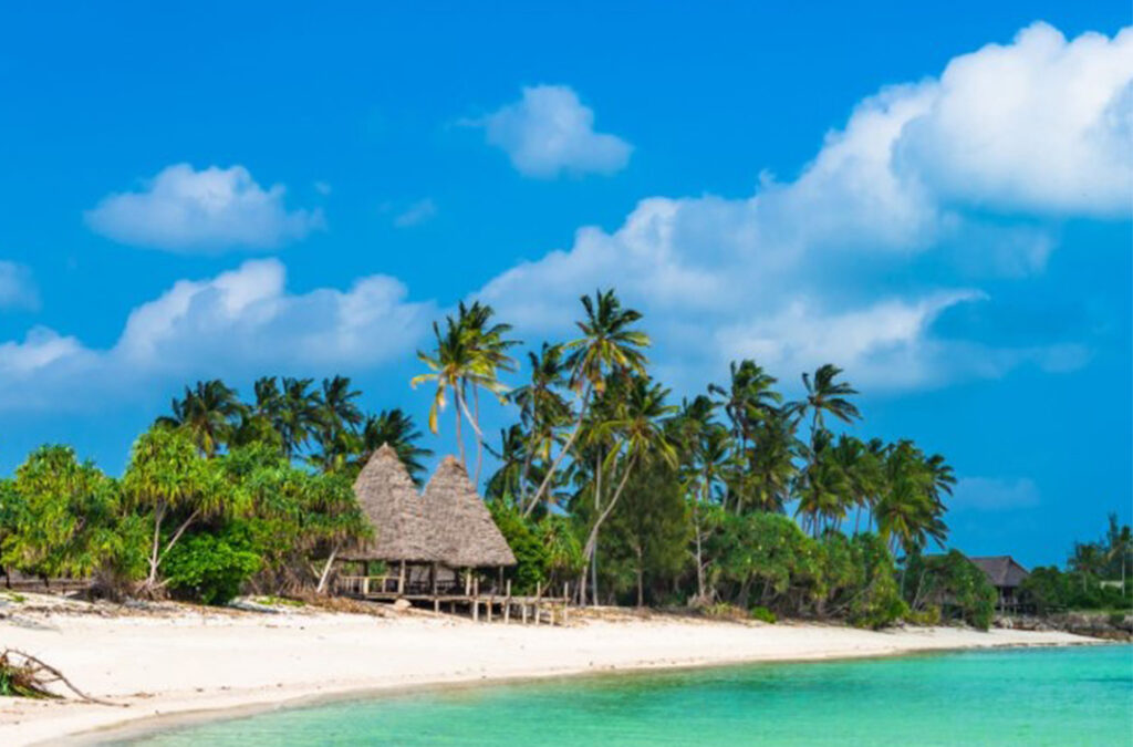 What's the Best Way to Tour Tanzania?