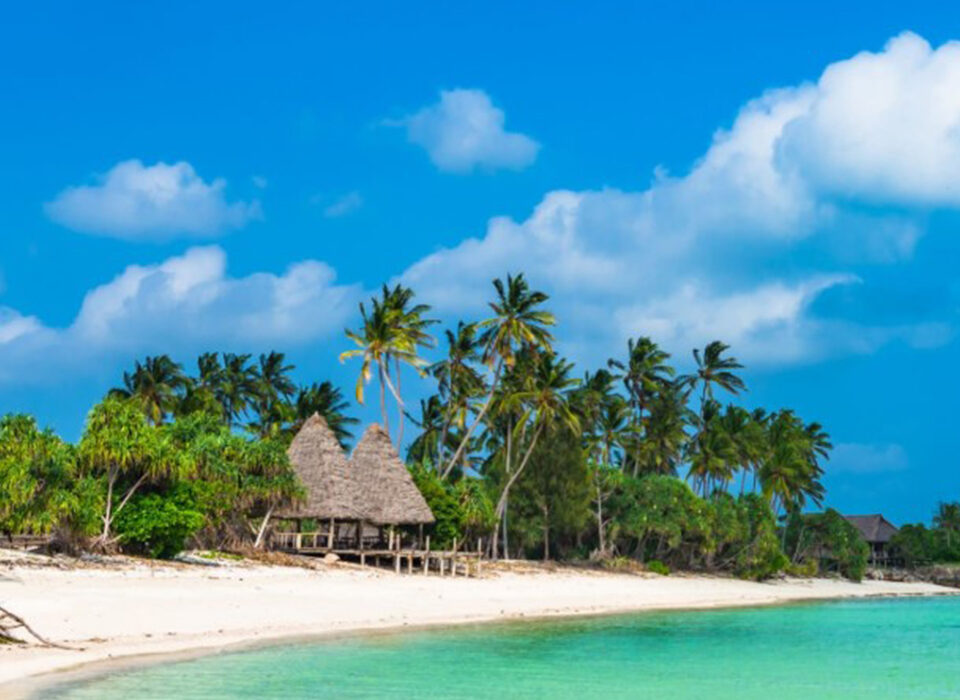 What's the Best Way to Tour Tanzania?