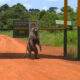 What Is the largest Game Park in Uganda?