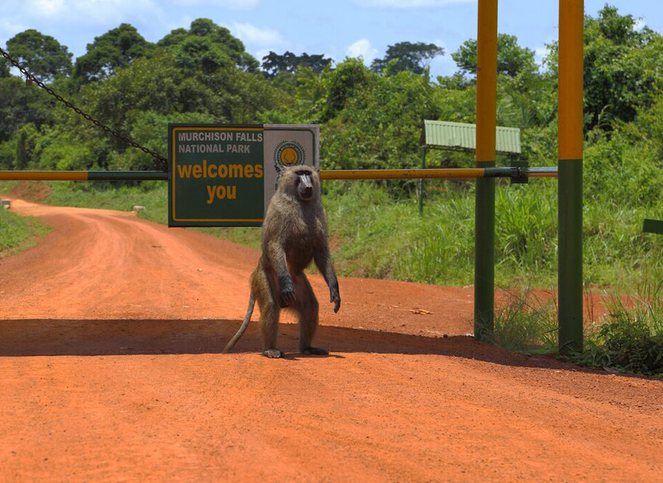 What Is the largest Game Park in Uganda?