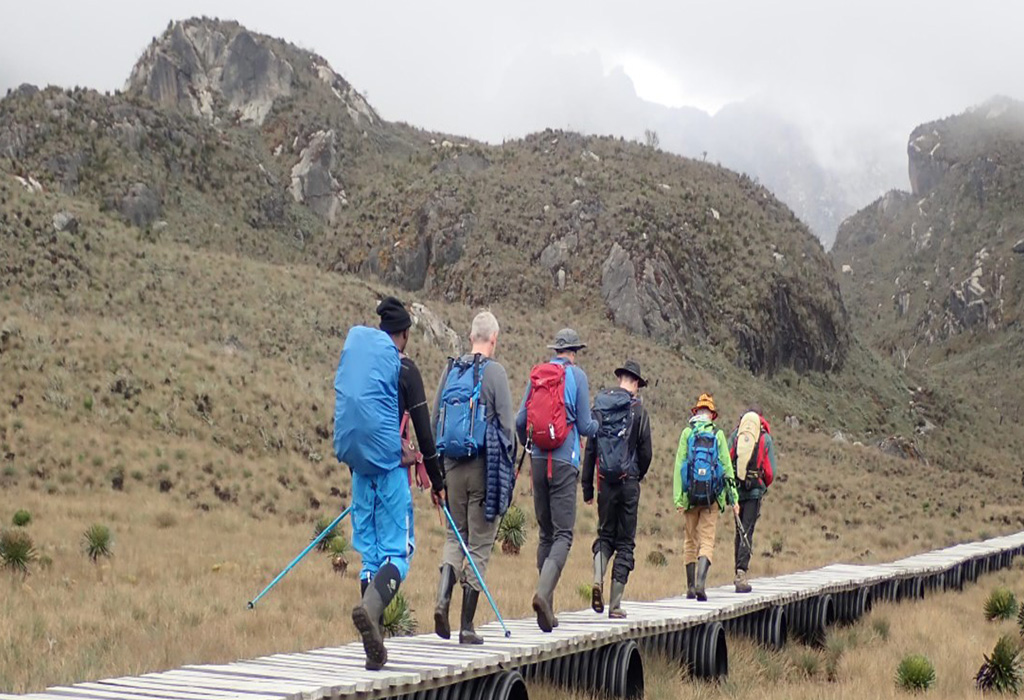 How Do I Prepare for Rwenzori Mountain Trek?