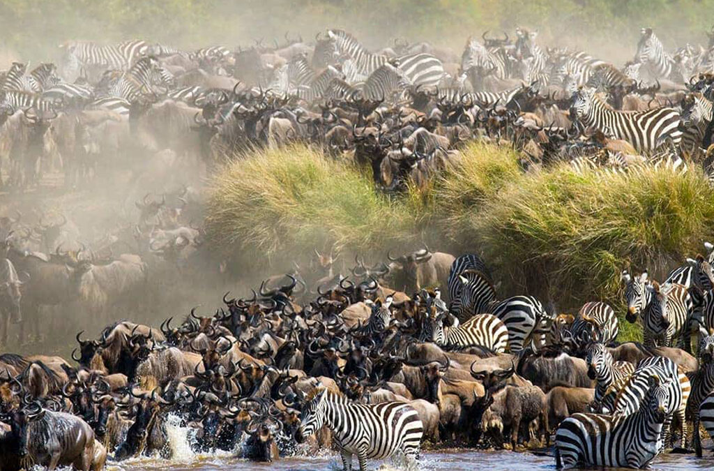 When Is great Migration In Tanzania?