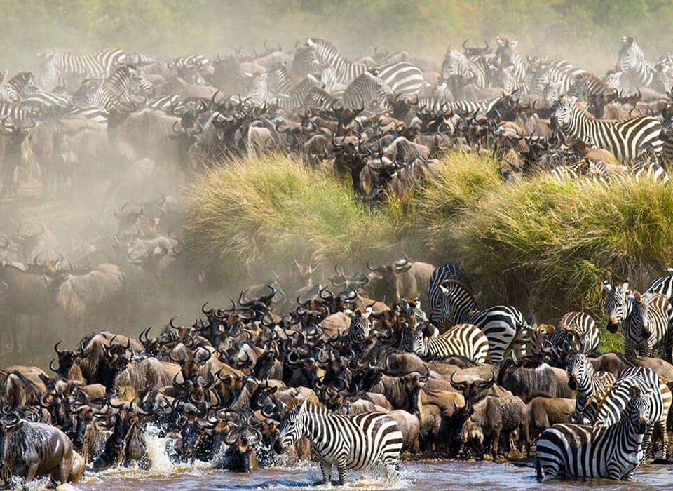 When Is great Migration In Tanzania?