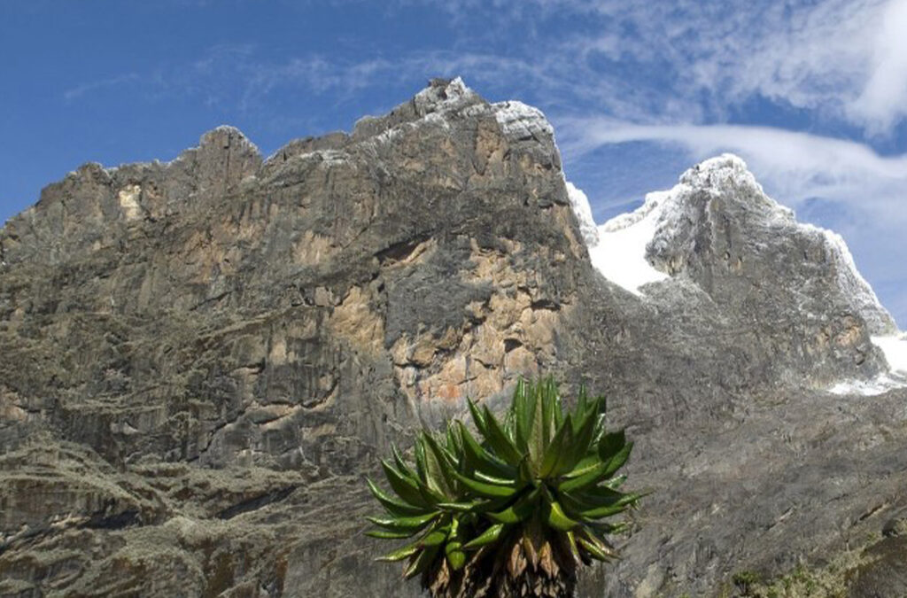 How Do I Prepare for Rwenzori Mountain Trek?