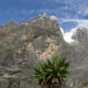 How Do I Prepare for Rwenzori Mountain Trek?