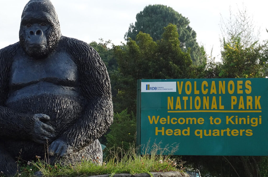 What is Known Most About Volcanoes National Park in Rwanda?