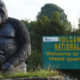 What is Known Most About Volcanoes National Park in Rwanda?