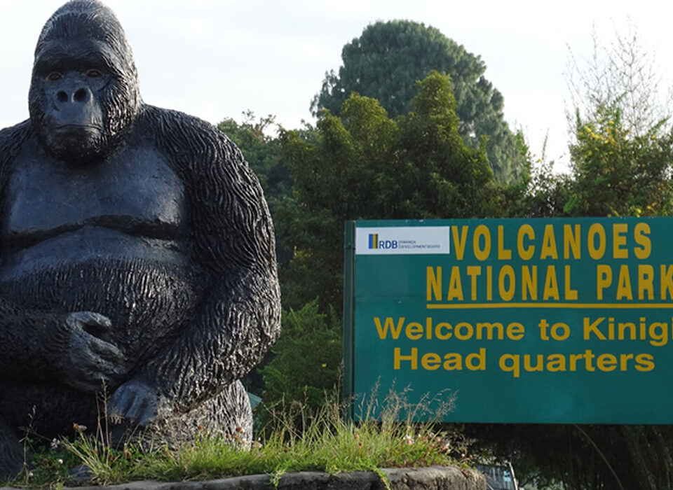 What is Known Most About Volcanoes National Park in Rwanda?