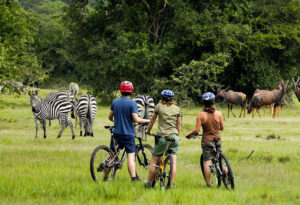 Cycling in Lake Mburo National Park