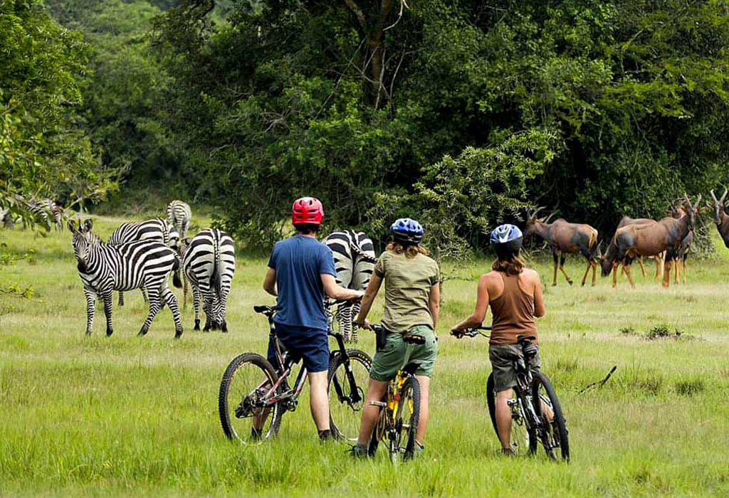 Cycling in Lake Mburo National Park