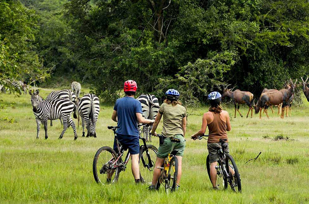 Cycling in Lake Mburo National Park