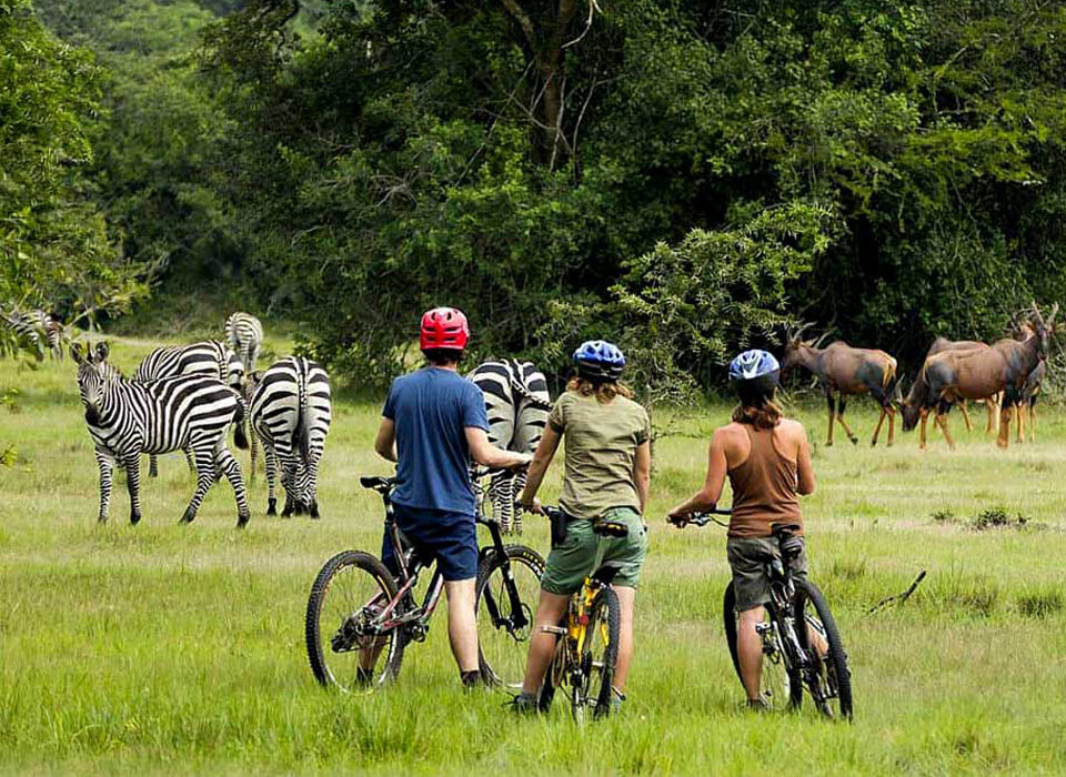 Cycling in Lake Mburo National Park