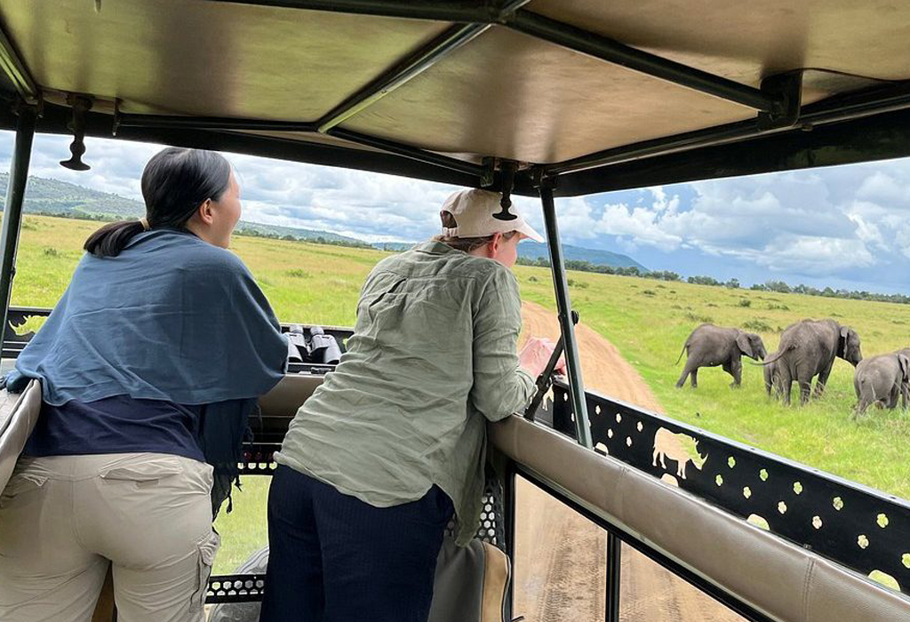 Kenya Safari Packages for Couples