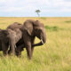 10 Interesting Facts About Kenya