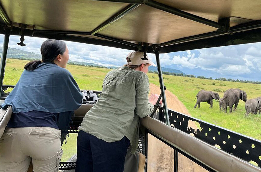 Kenya Safari Packages for Couples