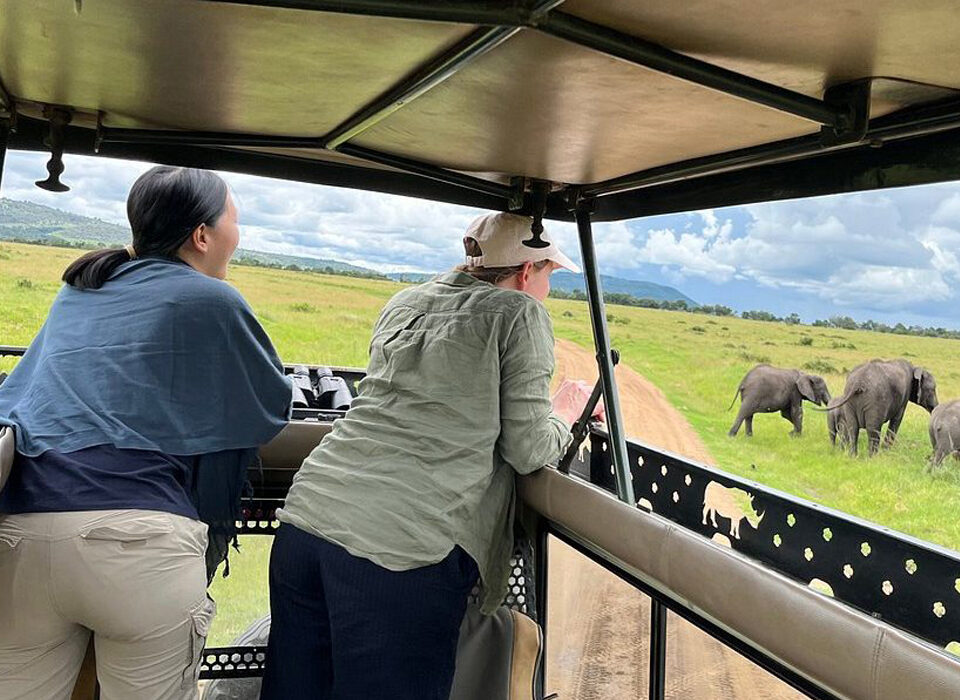 Kenya Safari Packages for Couples