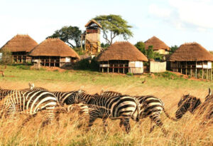 Top Activities to Experience in Kidepo Valley National Park