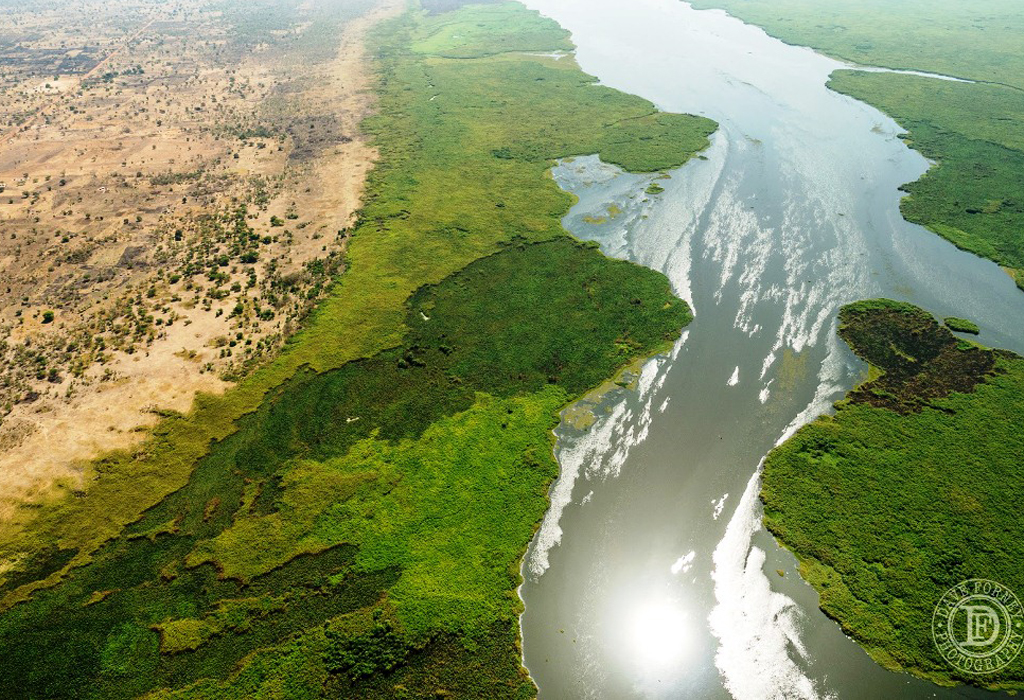 The Swampy Lake Kyoga in Uganda