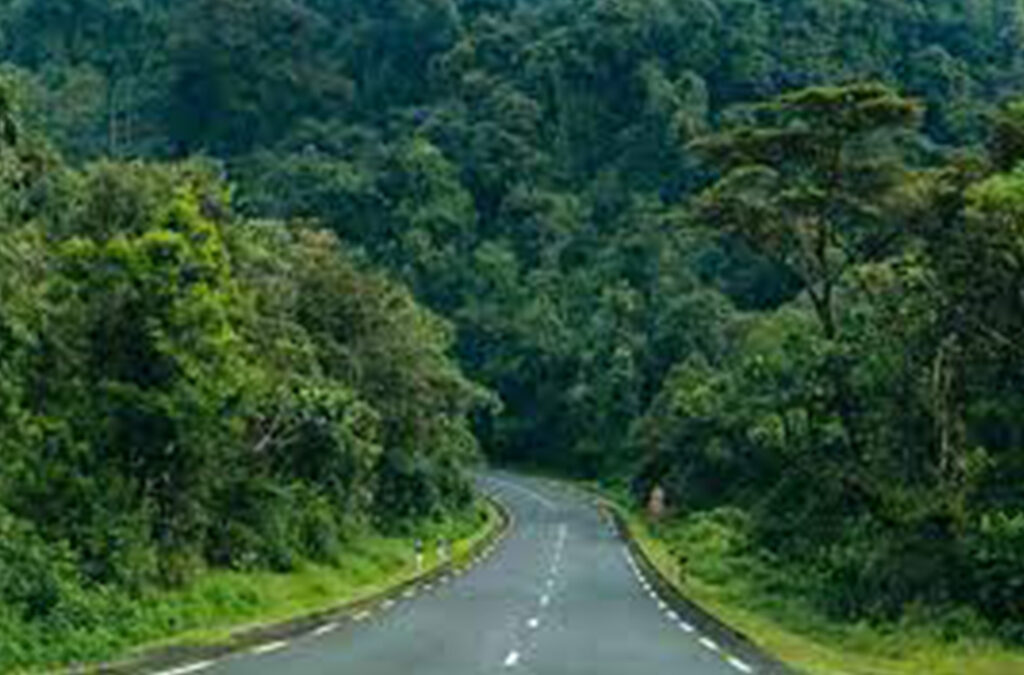 How is Gorilla Tourism Important to Uganda and Rwanda?