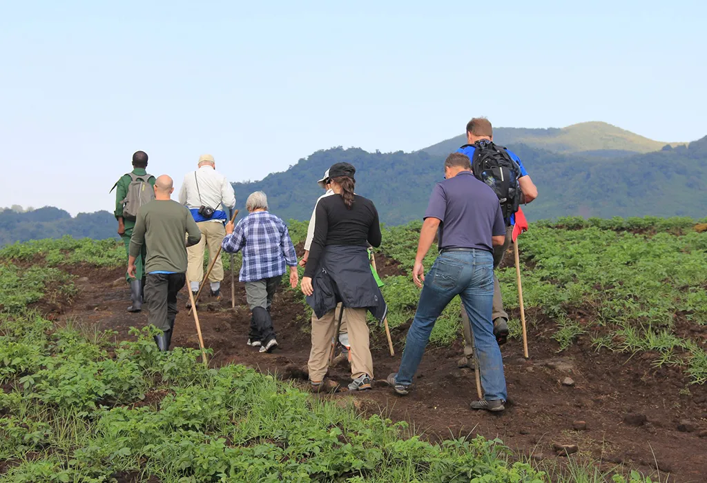 Volcanoes National Park and Akagera Safari in One Week