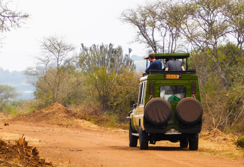 what to avoid on a safari in uganda and rwanda