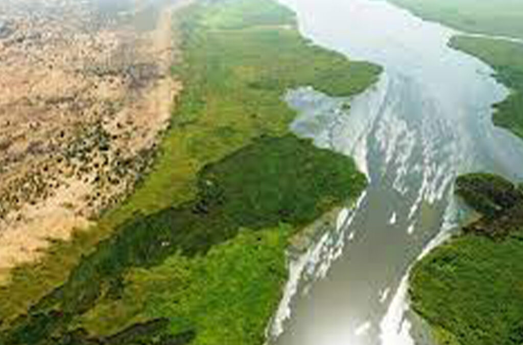 The Swampy Lake Kyoga in Uganda