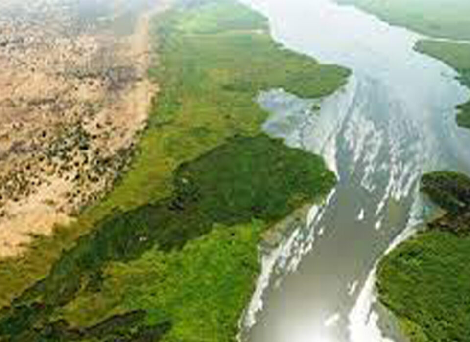 The Swampy Lake Kyoga in Uganda