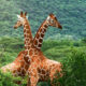 Best Affordable Kenya Safari Packages from Nairobi