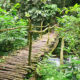 Bigodi Wetland Sanctuary Walks and Tours