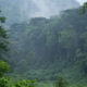 Bwindi-Temperatures