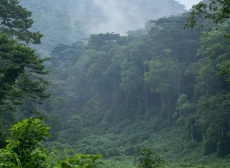 Bwindi-Temperatures