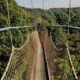 Combining Chimpanzee and Canopy Walk in Nyungwe with Gorilla Safari in Bwindi