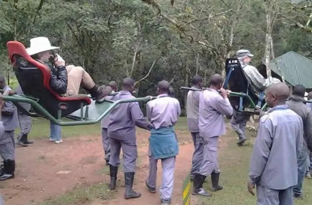 Cost of Hiring a Sedan Chair for Gorilla Trekking in Bwindi